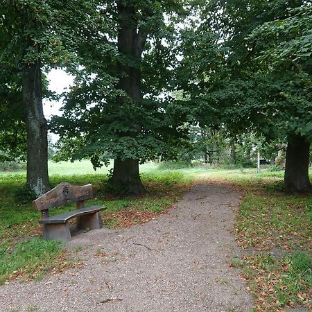Fewo in Neustadt/Dosse, der Stadt der Pferde Leddin Exterior foto